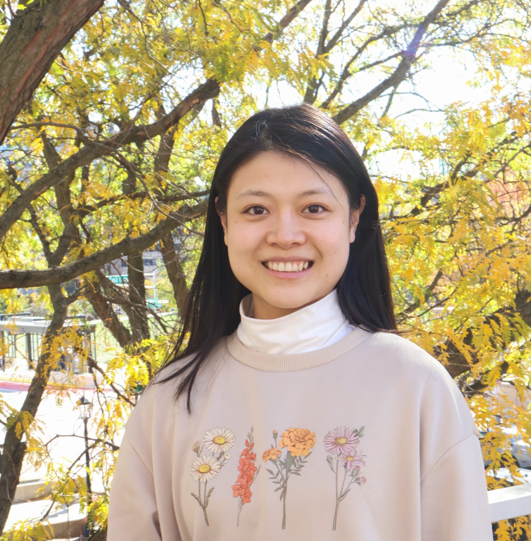 Chenjie Zheng